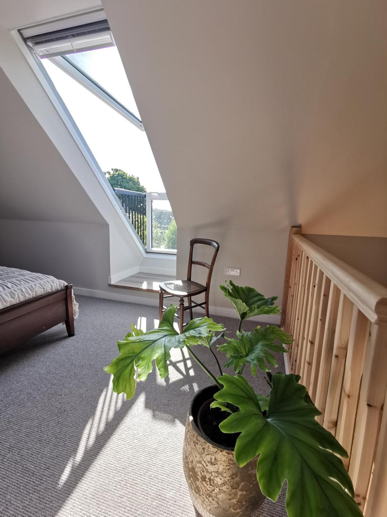 Casita, 'little House' Self Contained Garden Lodge, Close To Town And Seafront Apartment *