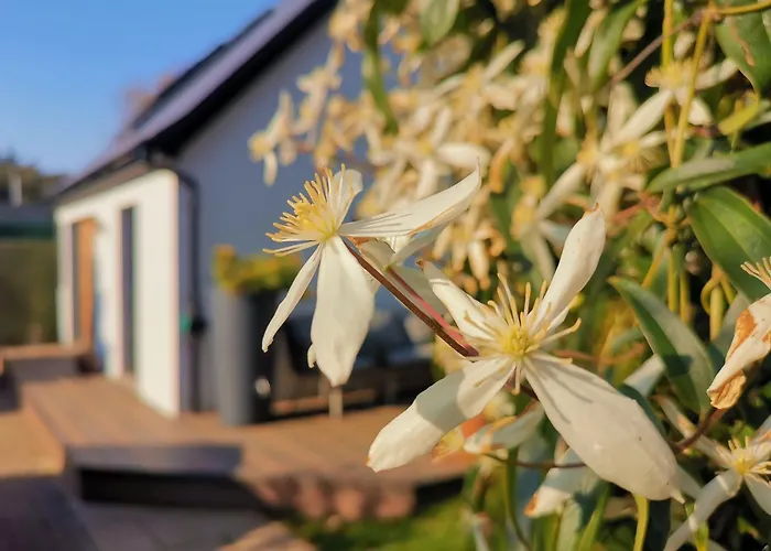 Hastings Casita, \'Little House\' Self Contained Garden Lodge, Close To Town And Seafront
