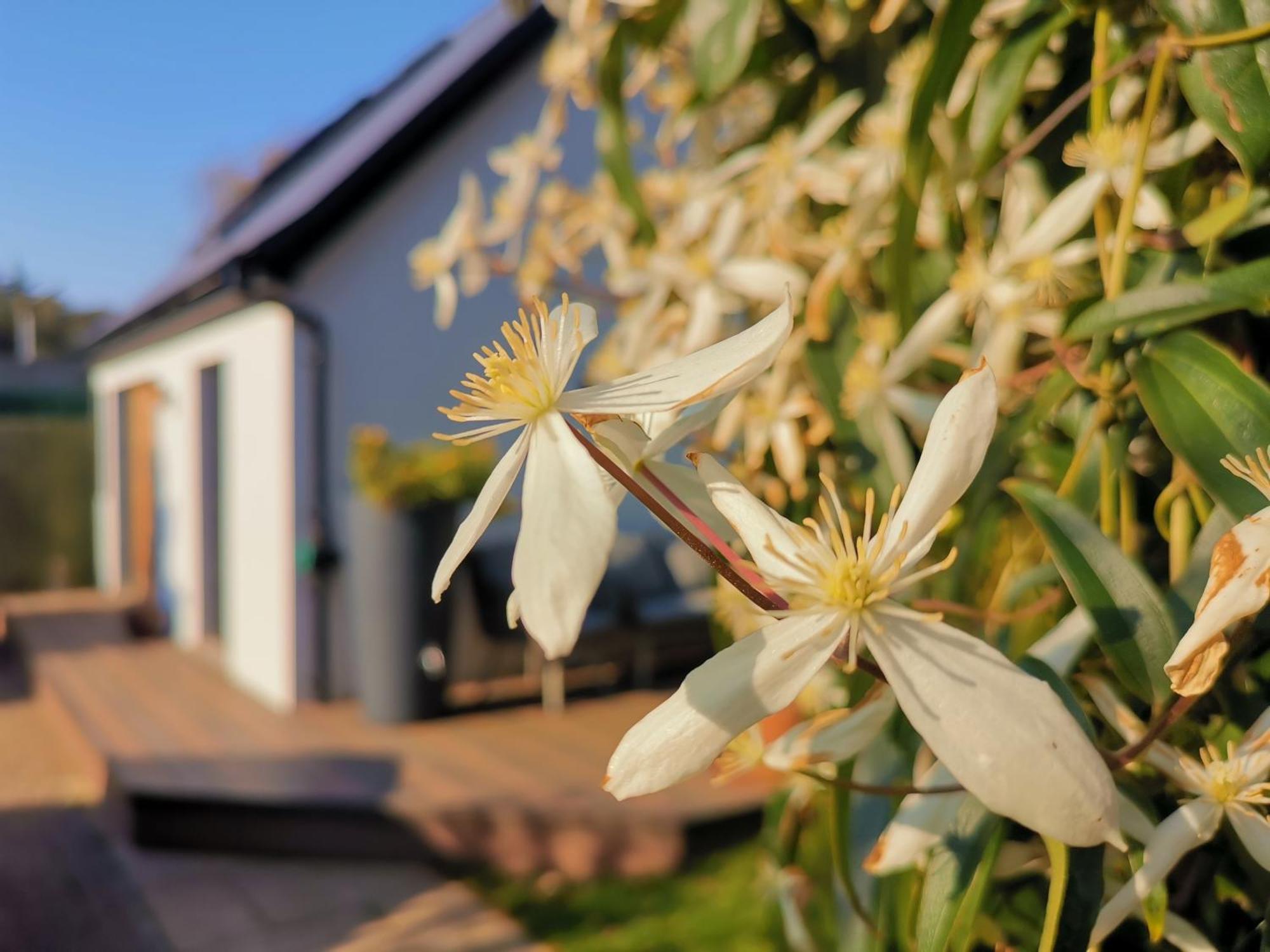 Casita, 'little House' Self Contained Garden Lodge, Close To Town And Seafront * Newport Beach